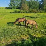 Neue Krone - Гостевой дом 3*