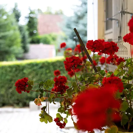 Neue Krone - Guest house *