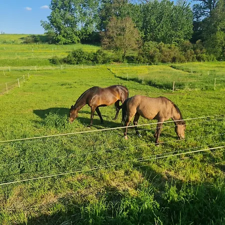 Neue Krone - Gasthof